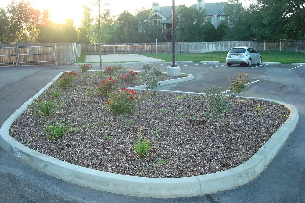 Custom lawn care service in Austin, TX - Capital Curbing