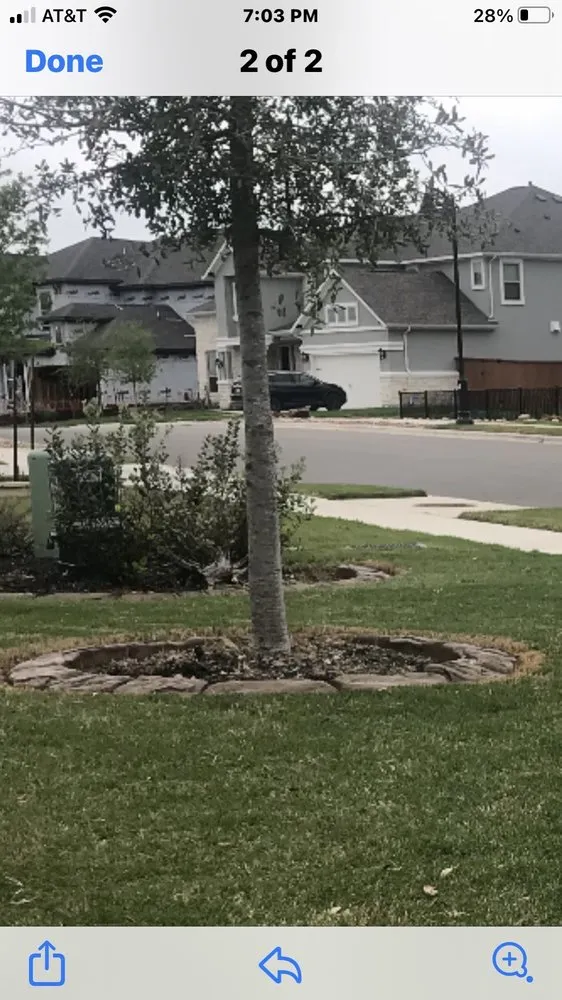 Trusted lawn care service for residential properties across Austin, TX - Capital Curbing