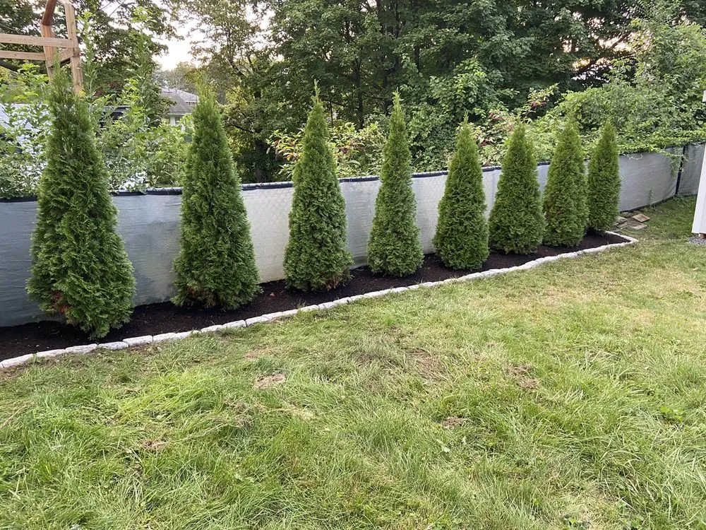 Affordable yard cleanup service in Sloansville, NY - Capital District Property Services