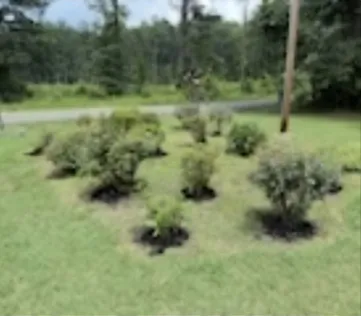 Custom lawn mowing service in Charles City, VA by Capital Edge Landscaping