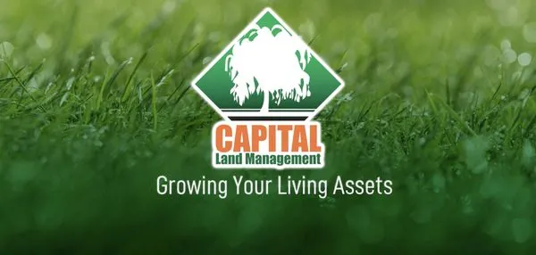 Capital Land Management Logo