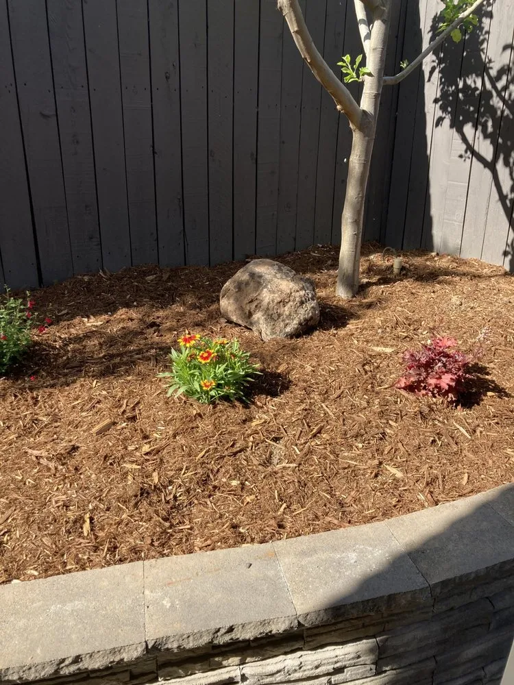 Top-rated lawn mowing service for year-round maintenance in Roseville, CA by Capital Landscape