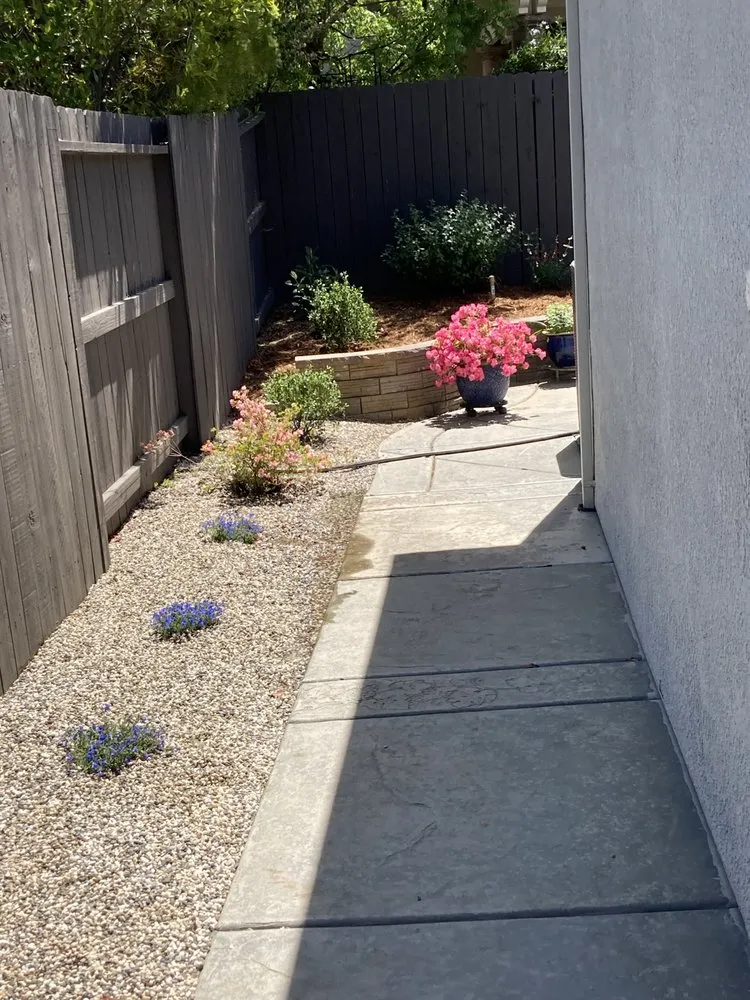 Expert yard cleanup service for residential properties across Roseville, CA - Capital Landscape