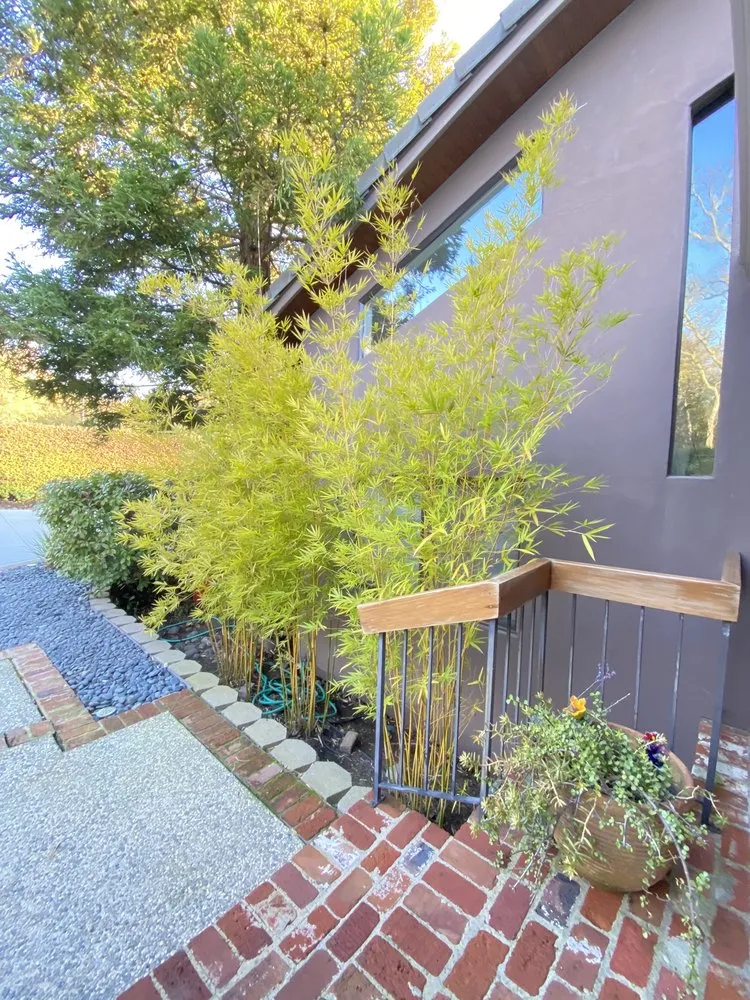 Professional landscape design experts serving Roseville, CA - Capital Landscape