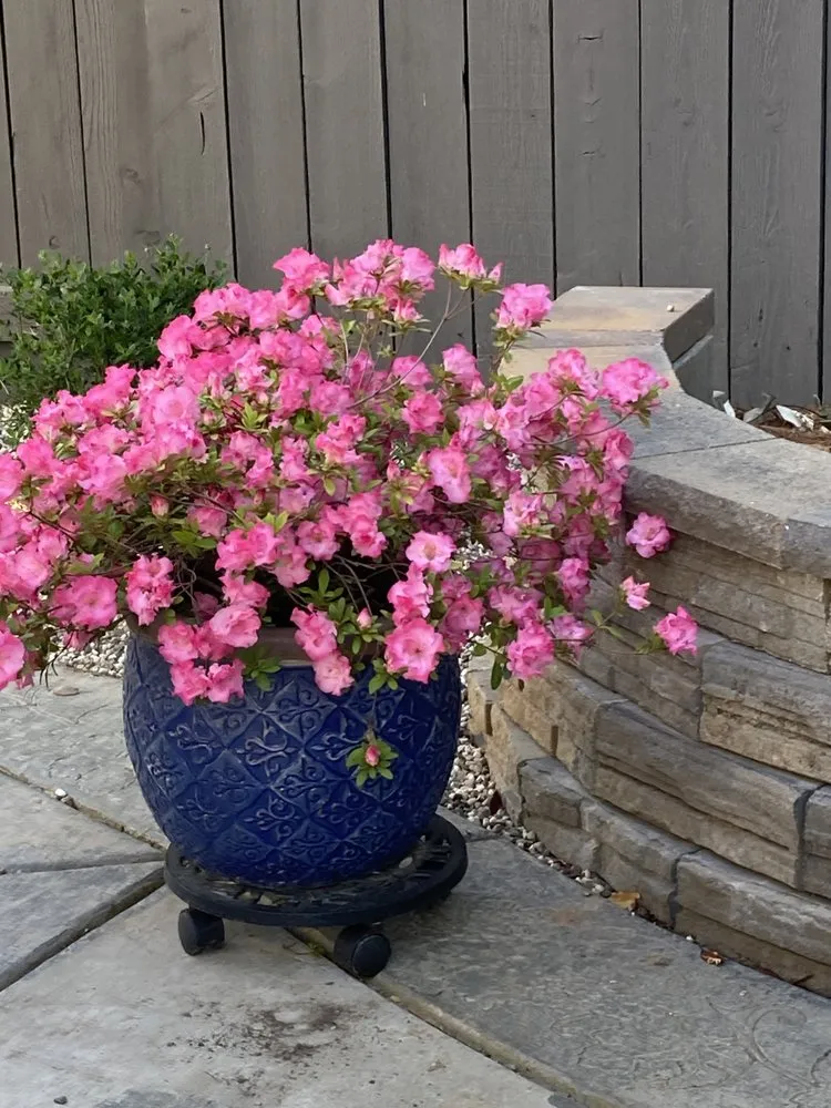 Trusted landscape installation experts serving Roseville, CA - Capital Landscape