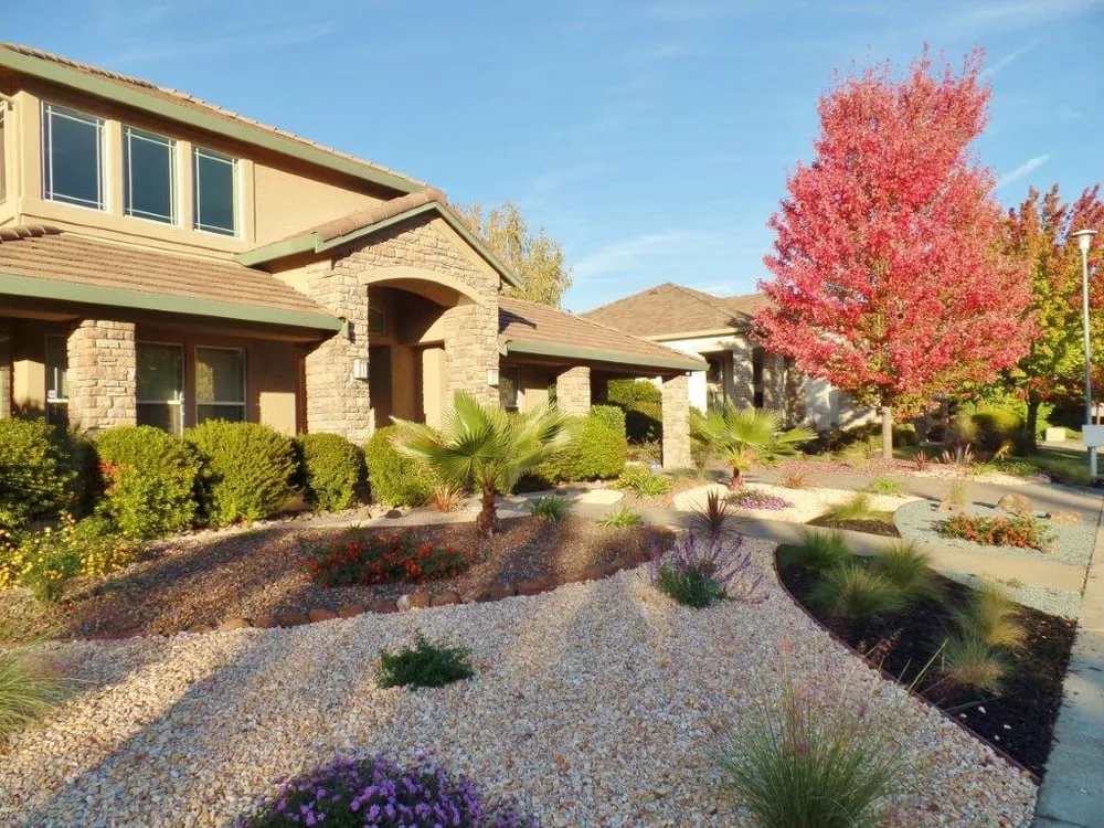 Expert landscape design in Roseville, CA - Capital Landscape