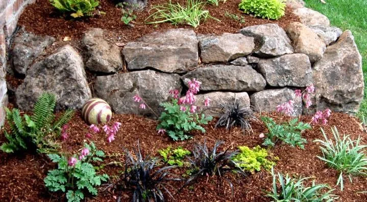 Trusted yard cleanup service in Roseville, CA by Capital Landscape