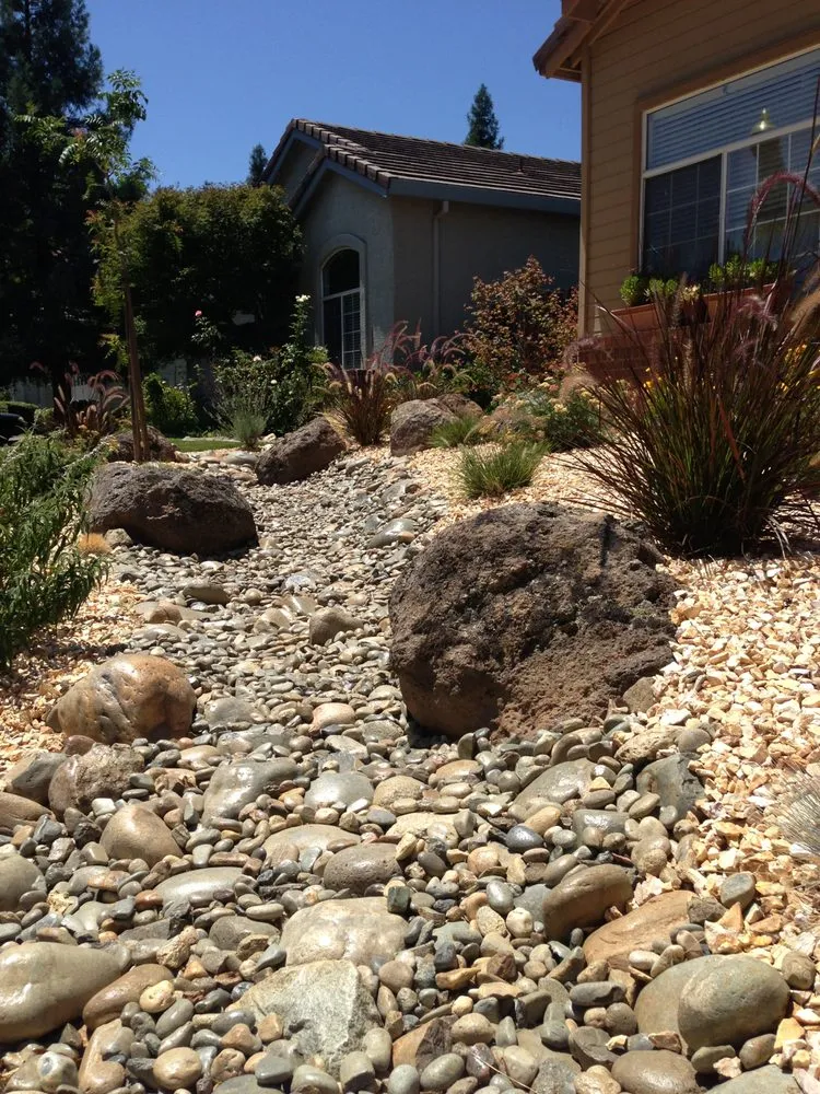 Affordable yard cleanup service in Roseville, CA by Capital Landscape