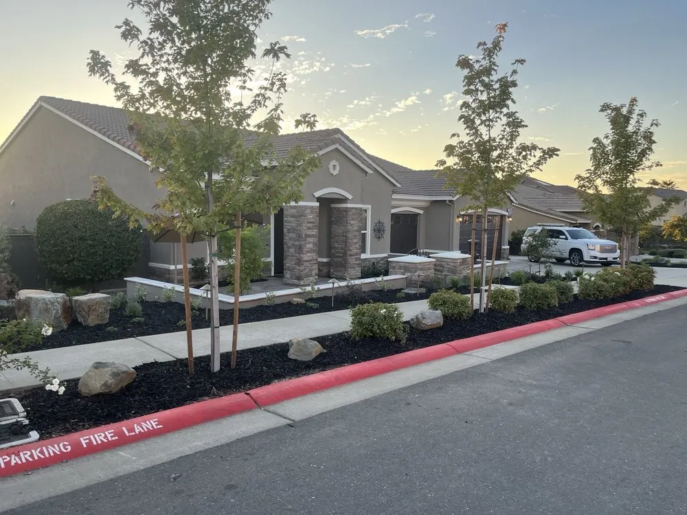 Custom yard cleanup service in Roseville, CA by Capital Landscape