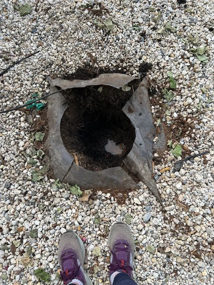 Trusted landscape installation in Roseville, CA by Capital Landscape