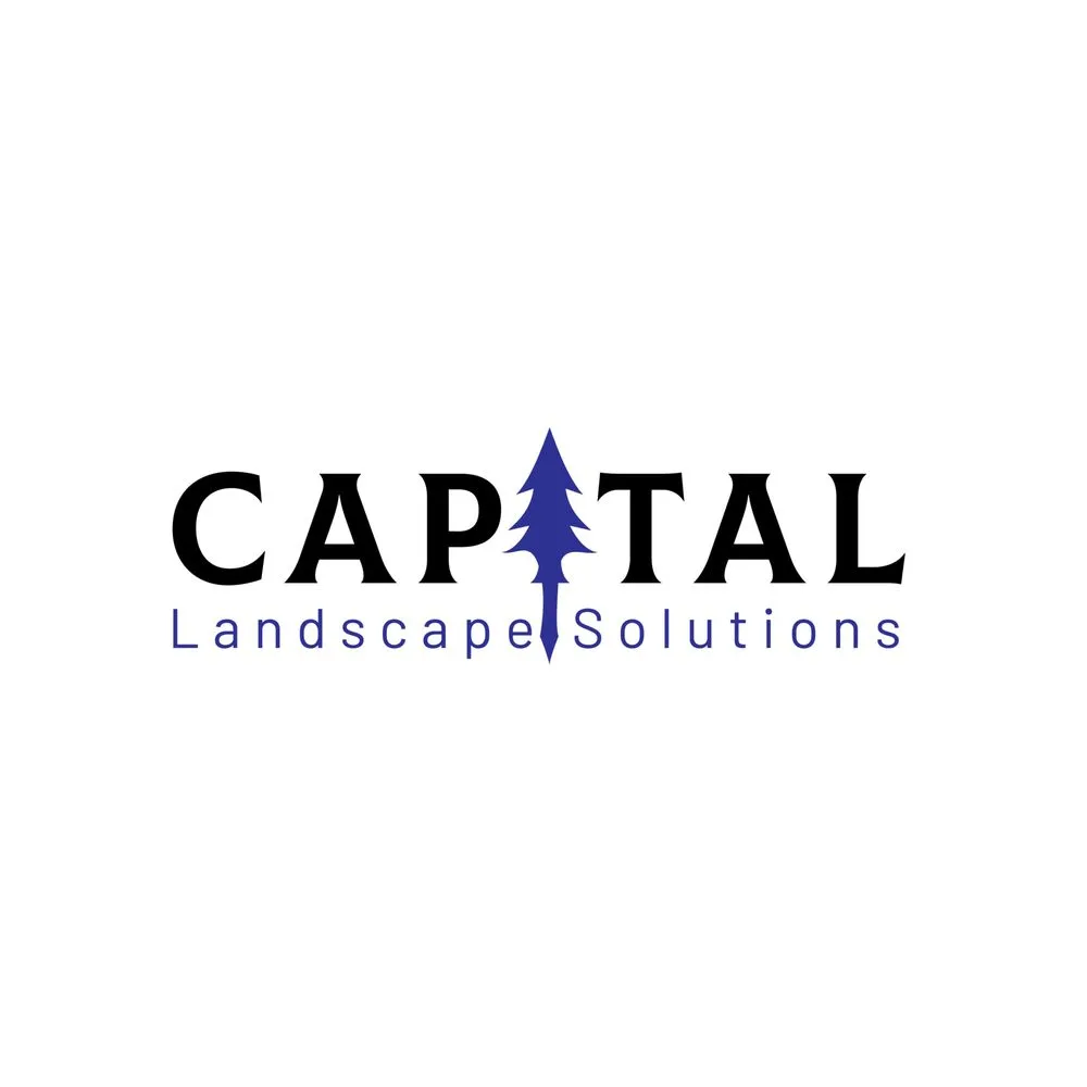 Expert outdoor landscaping in Albuquerque, NM - Capital Landscape Solutions