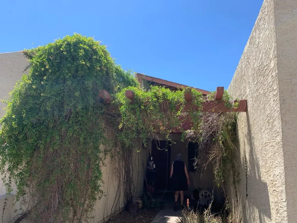 Expert outdoor landscaping for residential properties in Fountain Hills, AZ by Capital Landscaping And Tree Removal Service