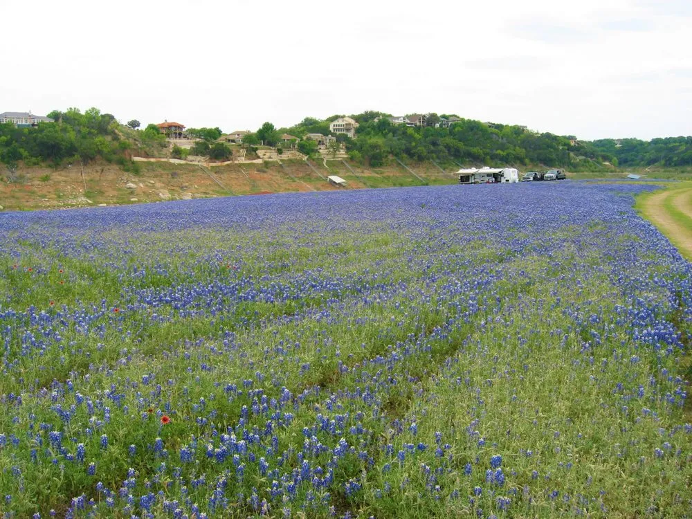 Custom lawn mowing service experts serving Austin, TX - Capital Landscaping
