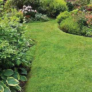 Affordable yard cleanup service experts serving Austin, TX - Capital Landscaping