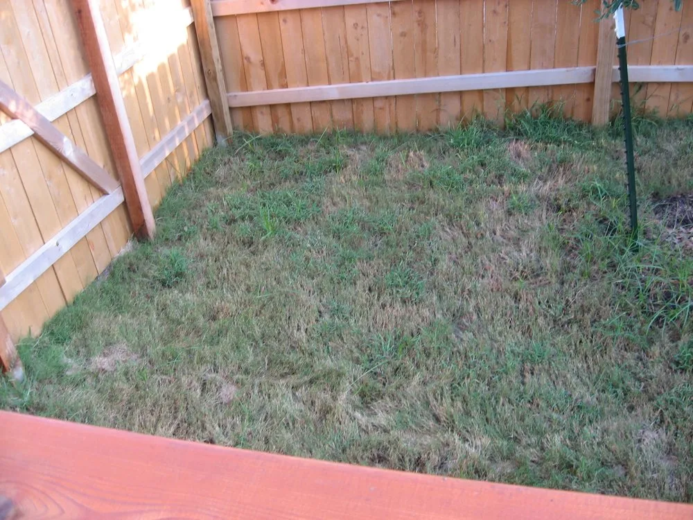 Expert outdoor landscaping in Austin, TX by Capital Landscaping