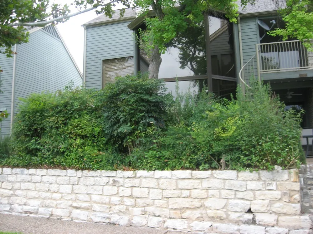 Custom garden landscaping for homes across Austin, TX - Capital Landscaping