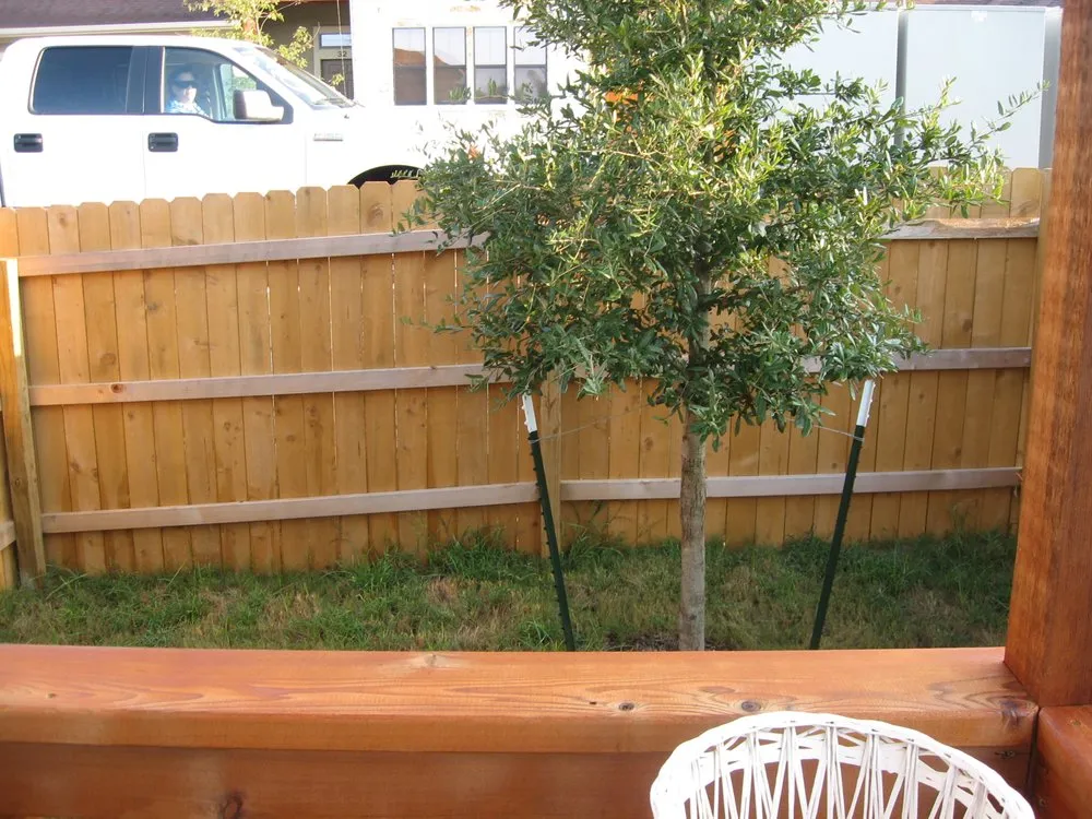 Top-rated landscape installation experts serving Austin, TX - Capital Landscaping