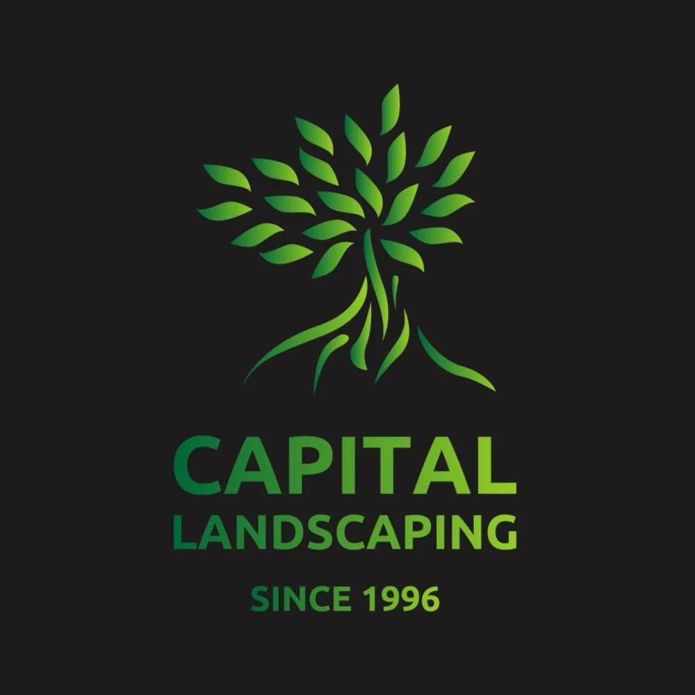 Custom yard maintenance in Austin, TX - Capital Landscaping