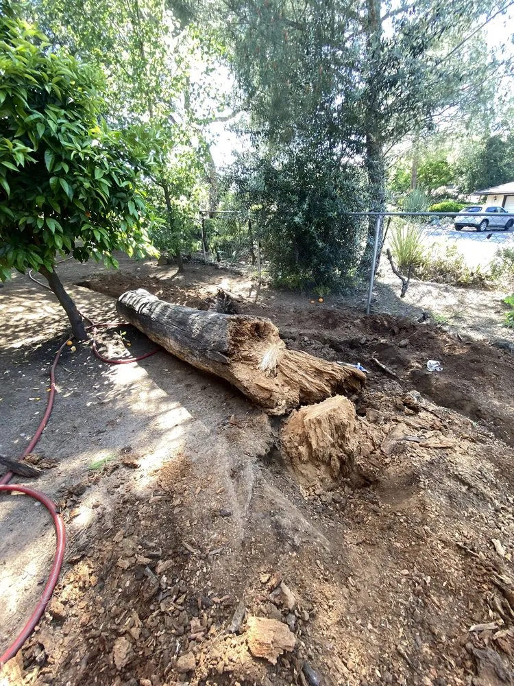 Professional lawn mowing service in Salt Lake City, UT by Capital Landscaping