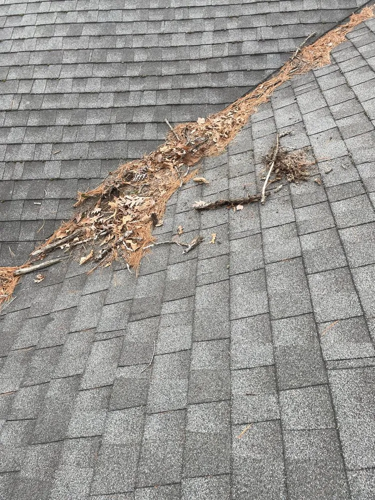 Professional residential landscaping in West Hartford, CT - Capital Landscaping