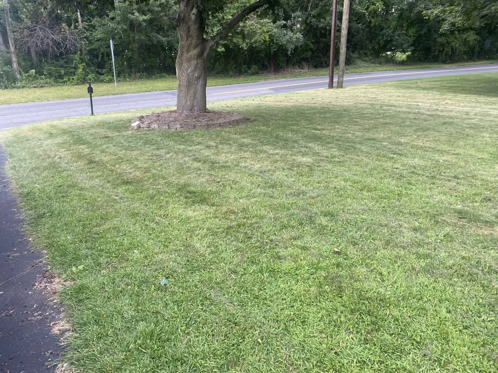 Professional yard maintenance for residential properties across West Hartford, CT - Capital Landscaping