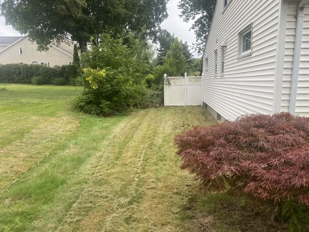 Reliable lawn care service for year-round maintenance in West Hartford, CT by Capital Landscaping