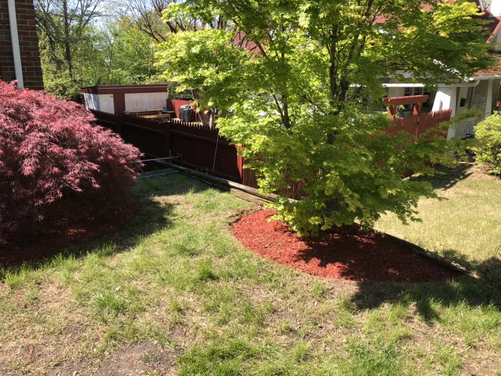 Top-rated yard maintenance for residential properties in Laurel, MD by Capital Lawn Experts