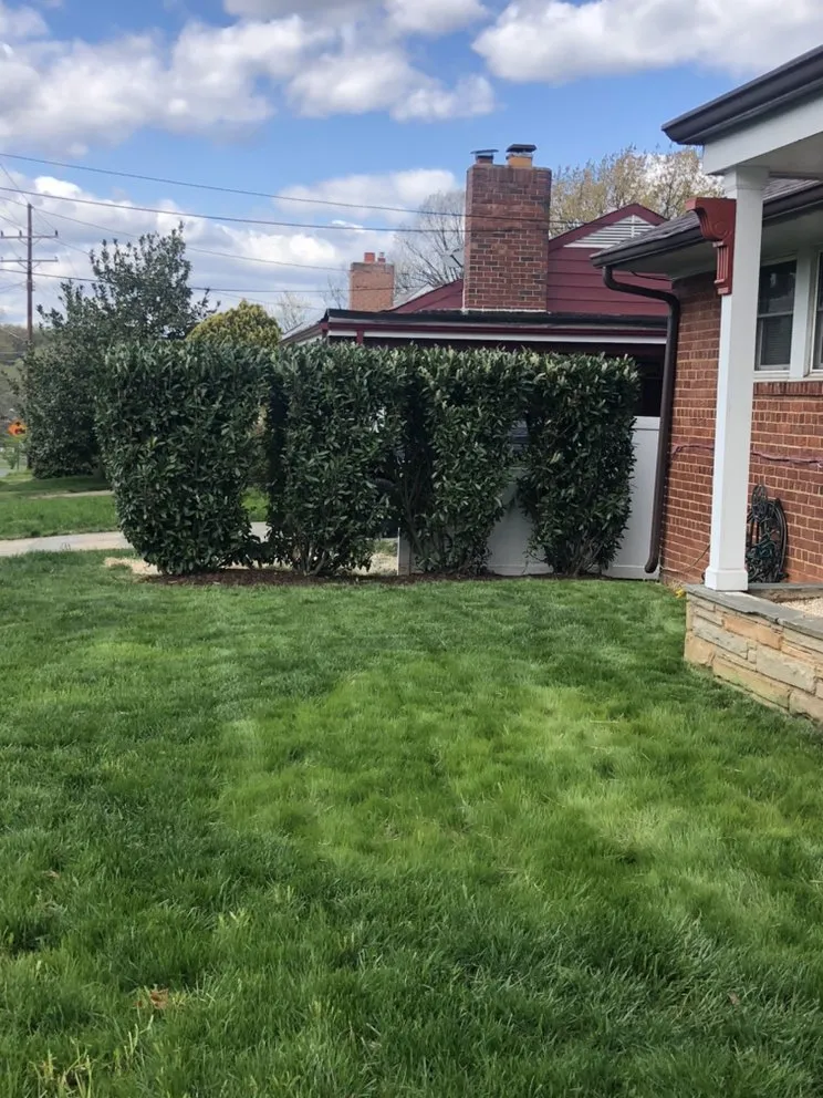 Professional outdoor landscaping in Laurel, MD by Capital Lawn Experts