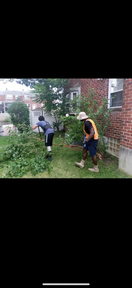 Expert lawn care service in Laurel, MD - Capital Lawn Experts