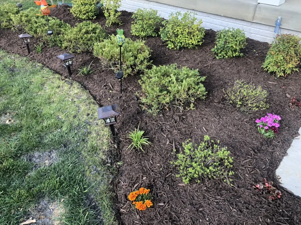 Reliable lawn mowing service near you across Laurel, MD - Capital Lawn Experts