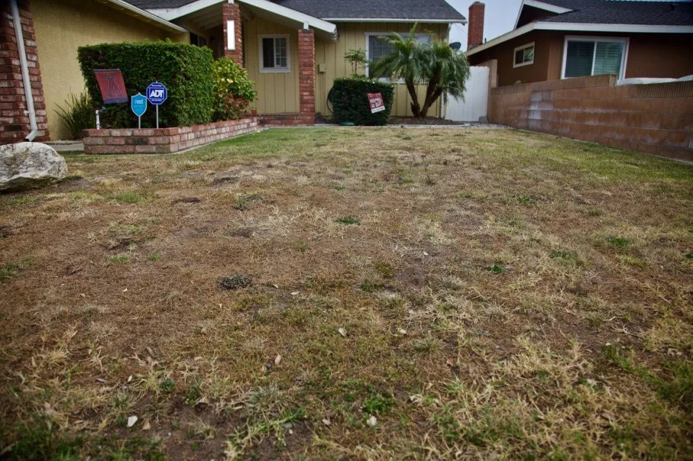 Local garden landscaping for beautiful yards across Laurel, MD - Capital Lawn Experts