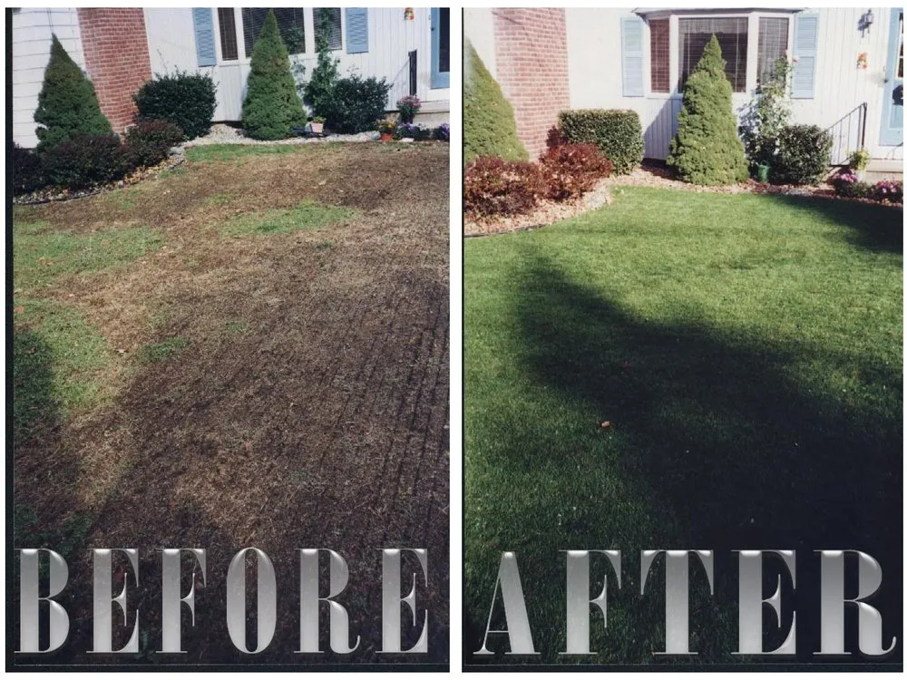 Professional yard maintenance with custom design across Westville, NJ - Capital Lawn