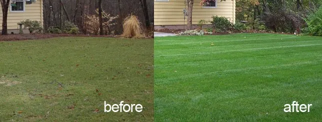 Reliable lawn mowing service experts serving Westville, NJ - Capital Lawn