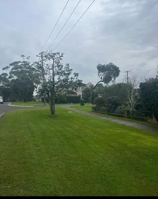 Capital Lawncare And Landscaping