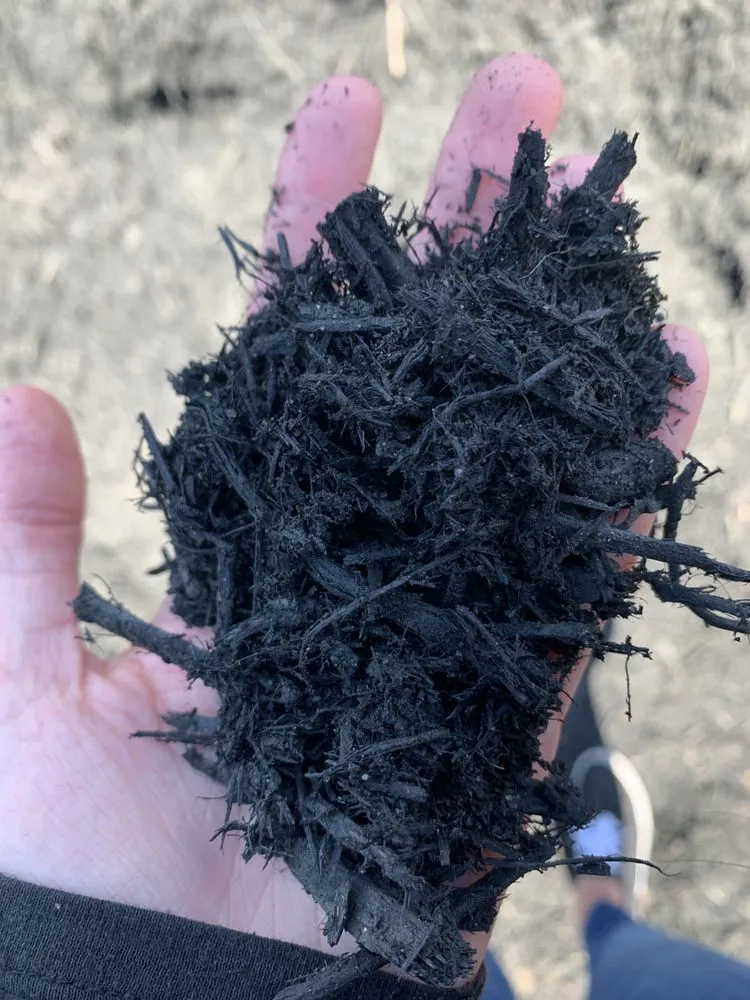 Professional landscape design near you in Raleigh, NC by Capital Mulch Company