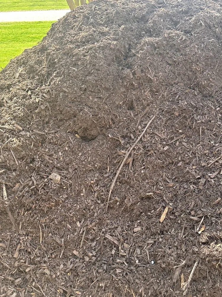 Affordable yard cleanup service in Raleigh, NC - Capital Mulch Company