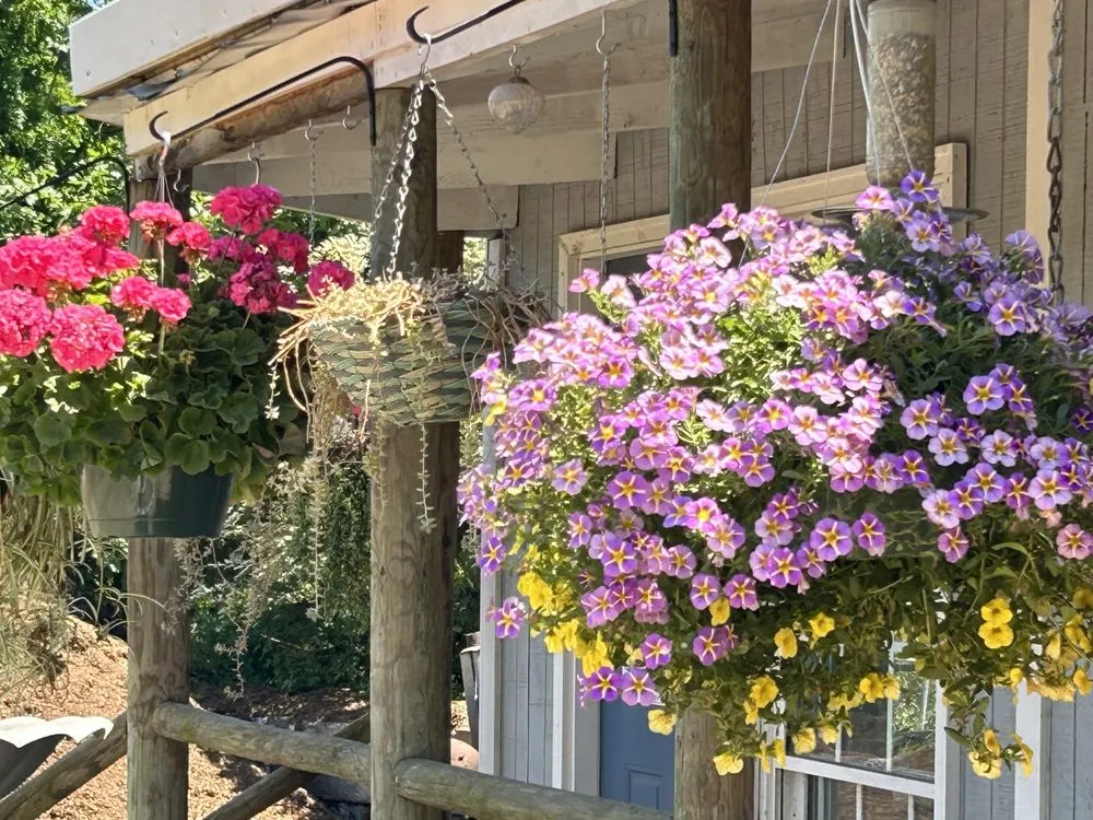 Professional garden landscaping with custom design in Raleigh, NC by Capital Mulch Company