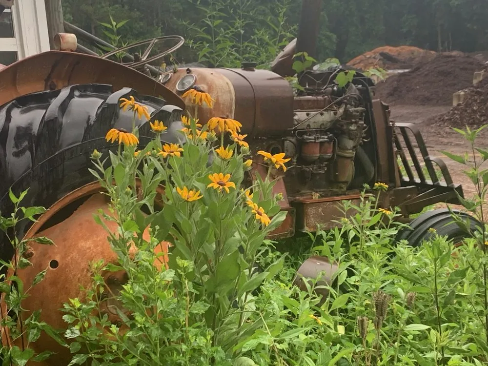 Local lawn care service in Raleigh, NC by Capital Mulch Company