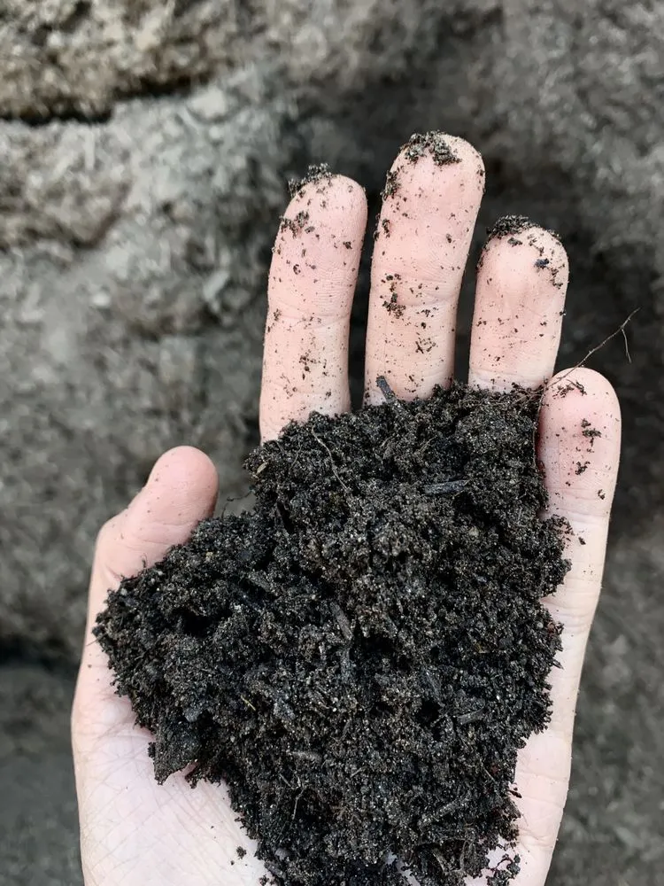 Local garden landscaping for residential properties across Raleigh, NC - Capital Mulch Company