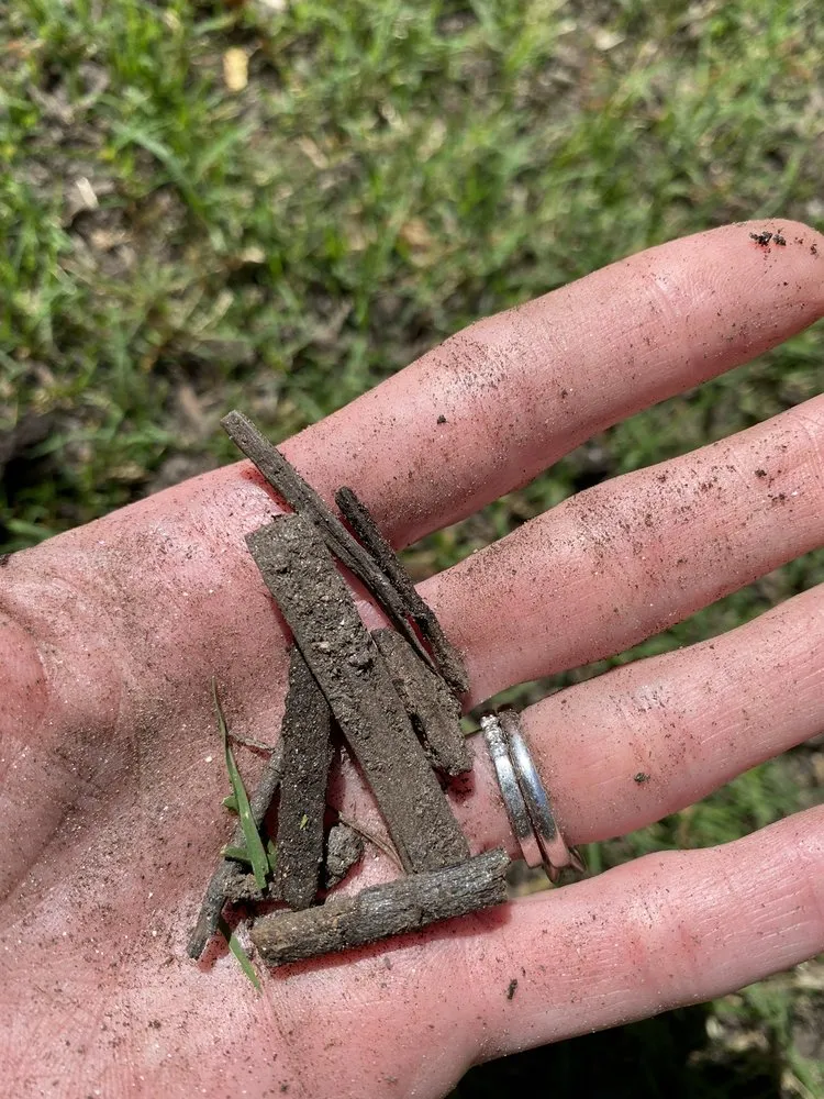 Professional residential landscaping for homes in Raleigh, NC by Capital Mulch Company