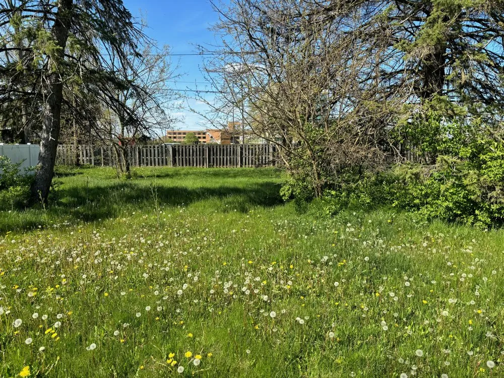 Reliable yard cleanup service in Findlay, OH by Capital outdoor services