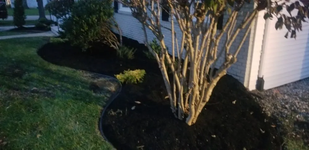 Trusted yard maintenance in Trenton, NJ - Capital Preservation Services