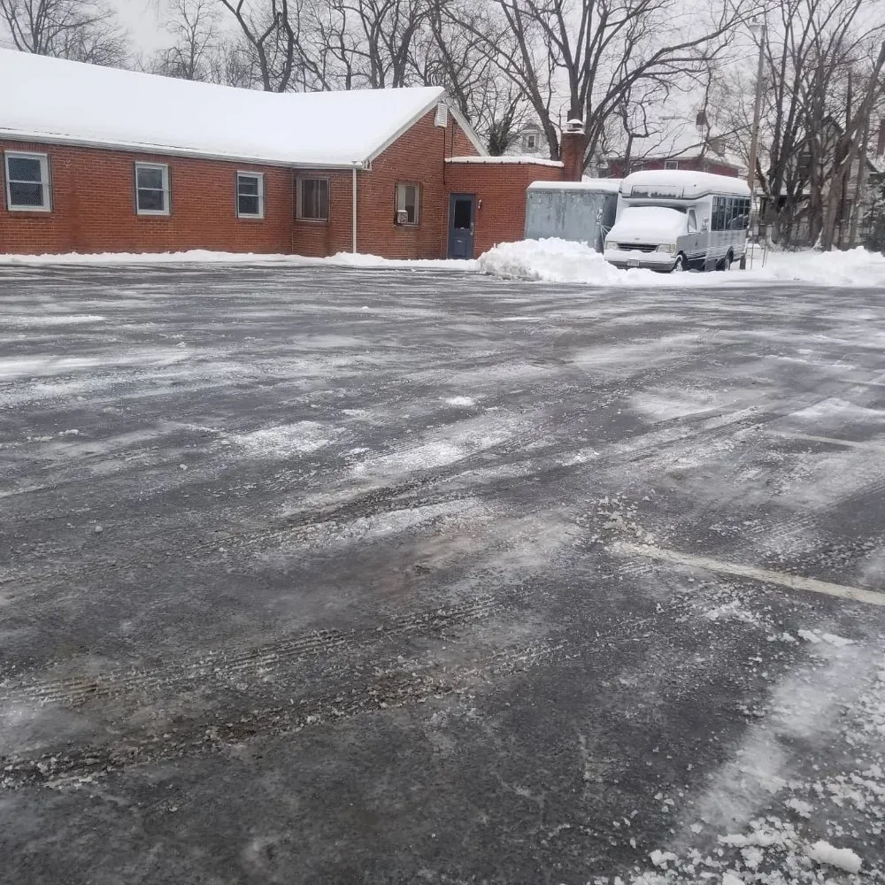 Expert landscaping services in Trenton, NJ by Capital Preservation Services