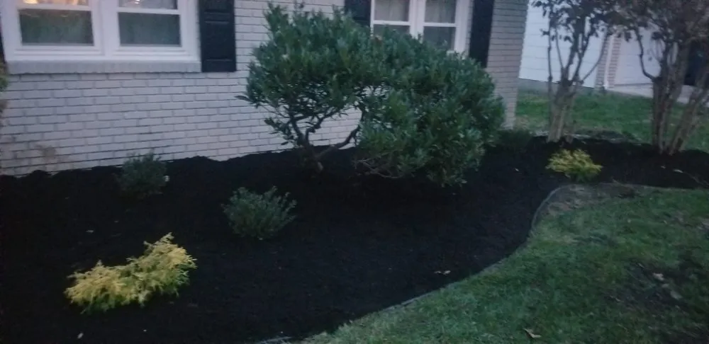 Affordable landscape installation in Trenton, NJ - Capital Preservation Services