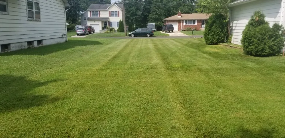 Local landscape design experts serving Trenton, NJ - Capital Preservation Services