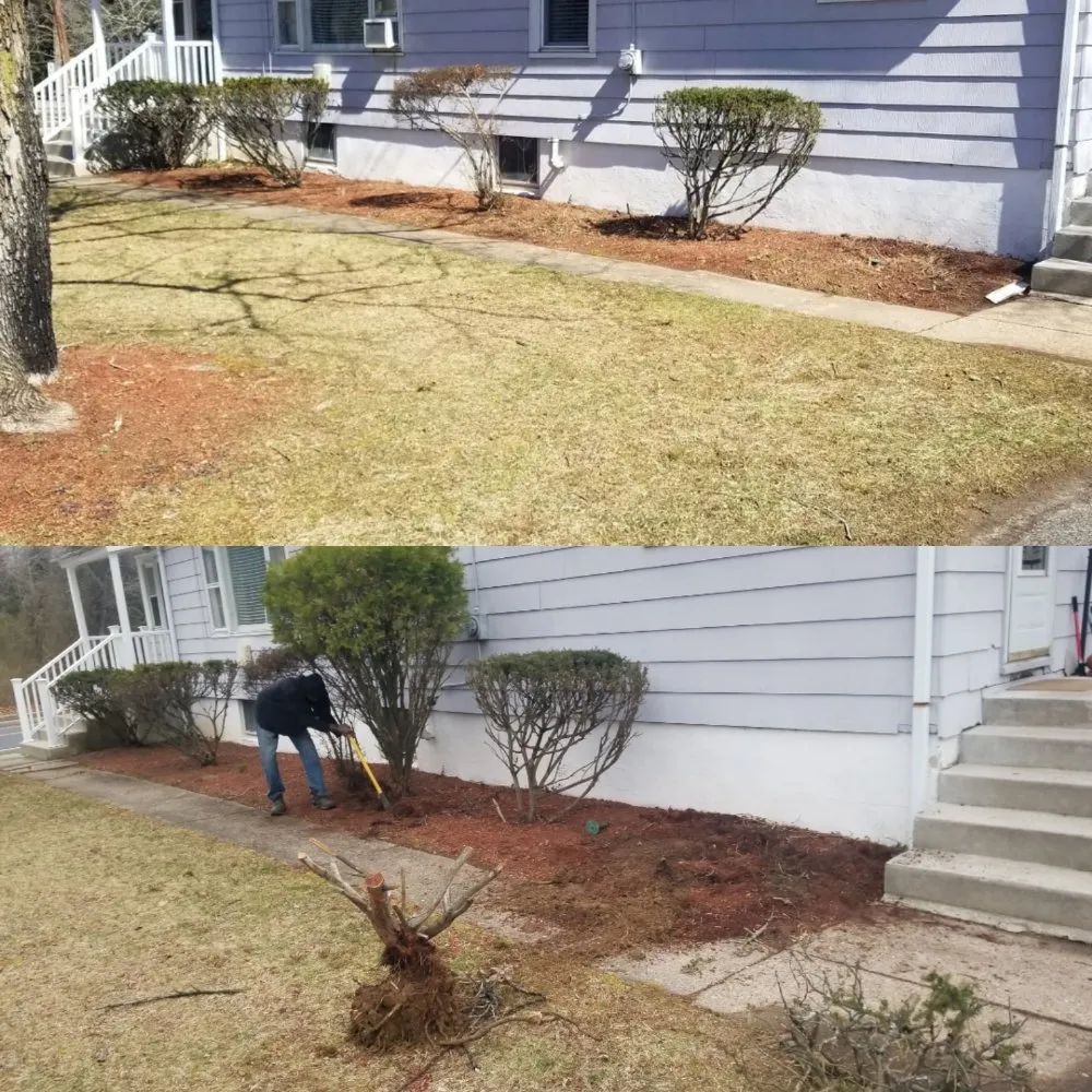Trusted garden landscaping for outdoor upgrades across Trenton, NJ - Capital Preservation Services
