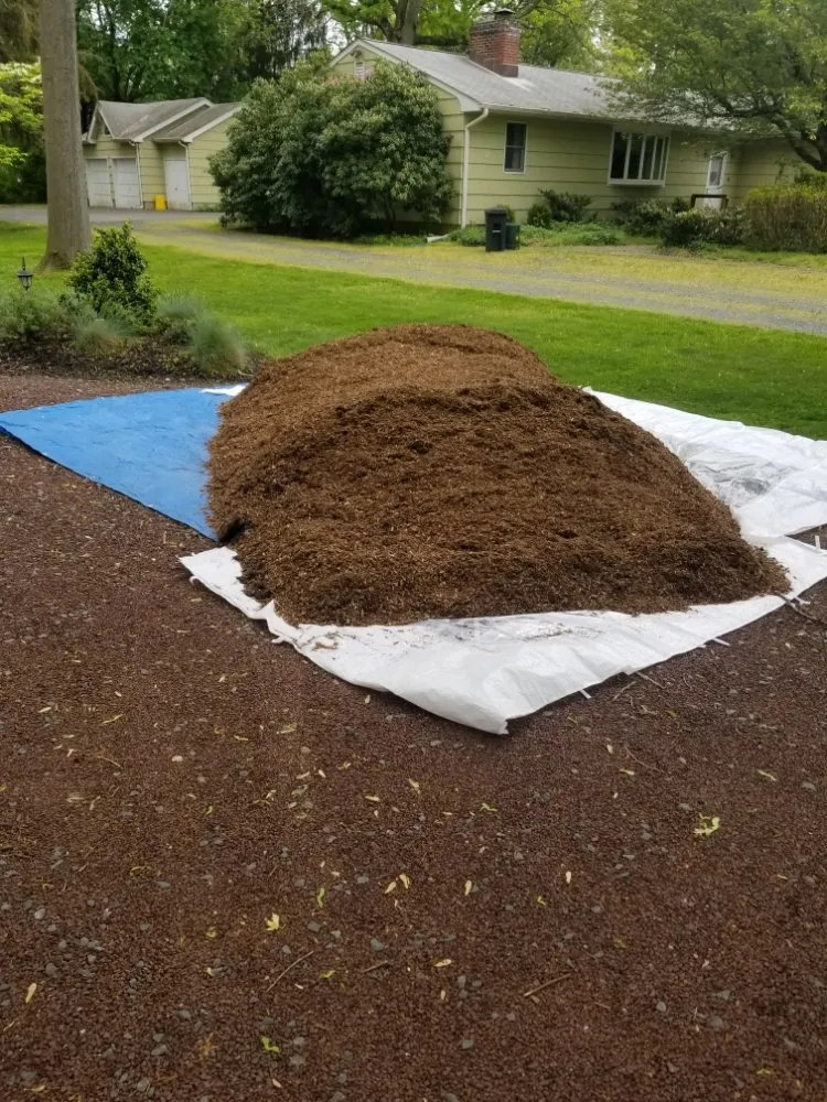 Expert residential landscaping in Trenton, NJ - Capital Preservation Services