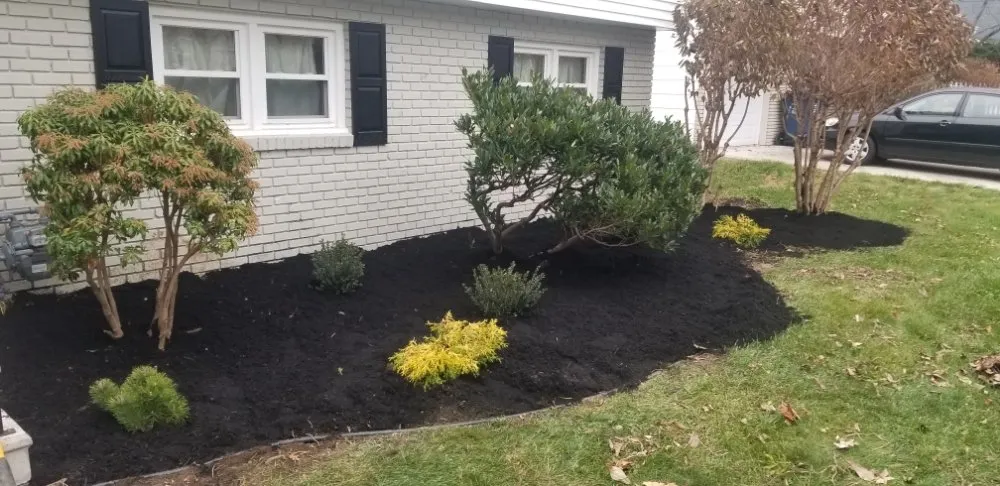 Reliable outdoor landscaping for residential properties in Trenton, NJ by Capital Preservation Services