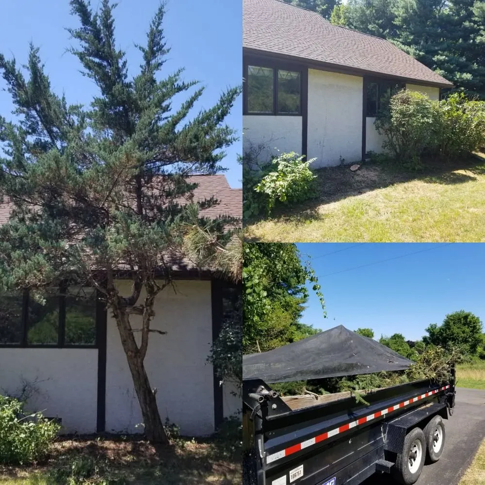 Local lawn care service experts serving Trenton, NJ - Capital Preservation Services