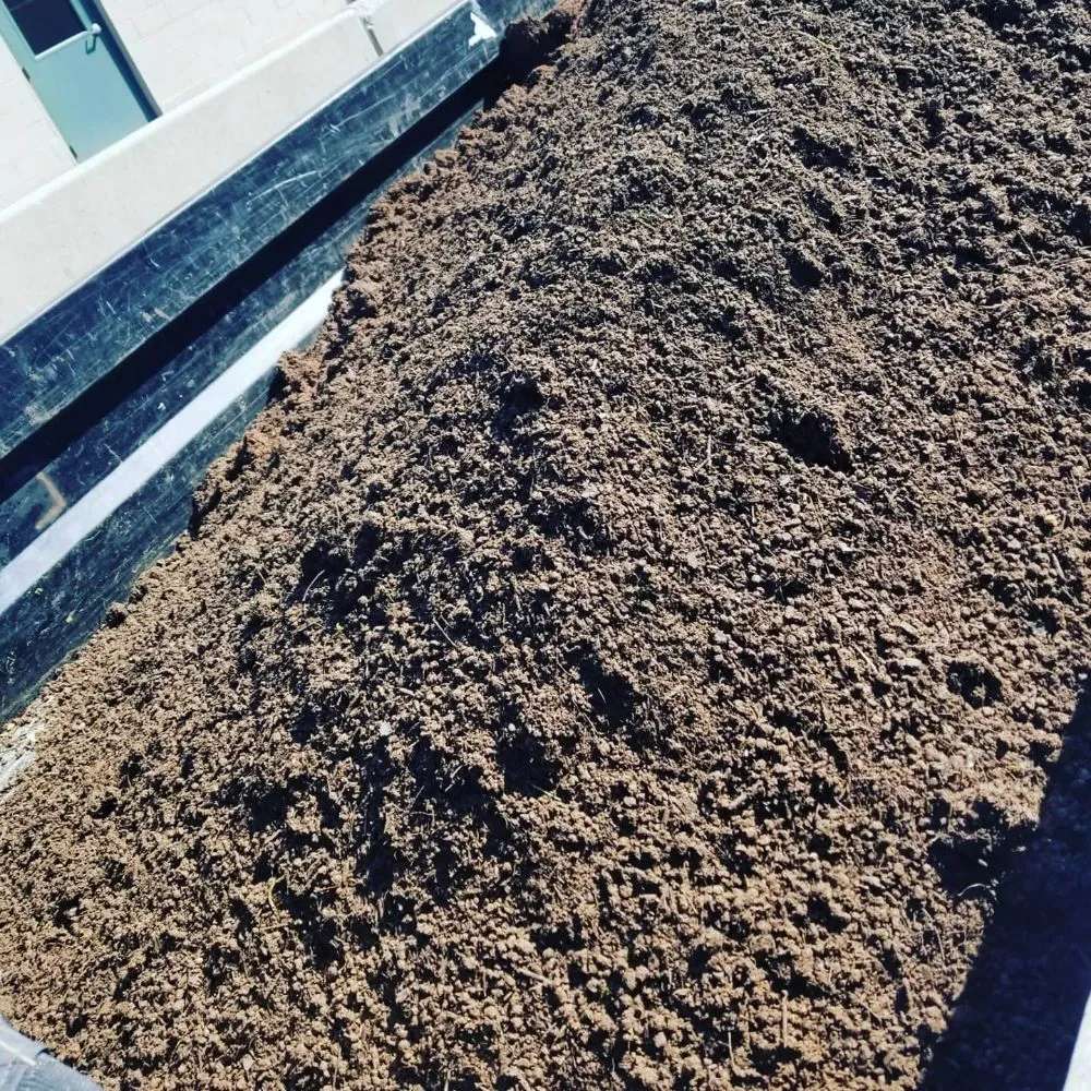 Professional garden landscaping for year-round maintenance in Trenton, NJ by Capital Preservation Services